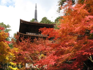 金剛輪寺 画像提供:(公社)びわこビジターズビューロー