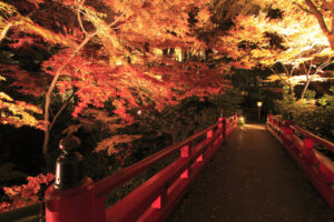 ホテル椿山荘　夜の庭園