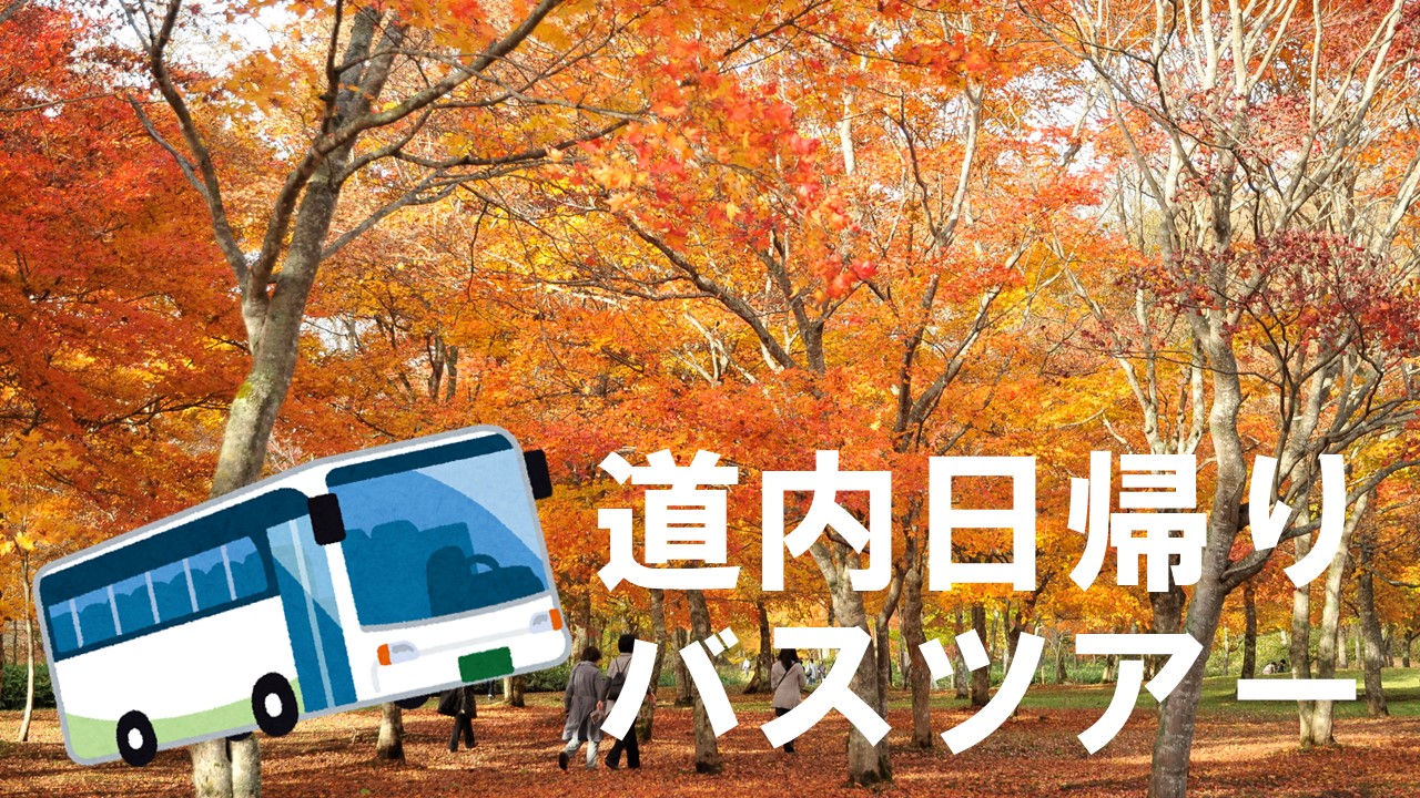 ツアー – 道新観光