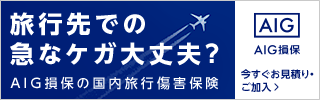 AIG損保国内旅行保険